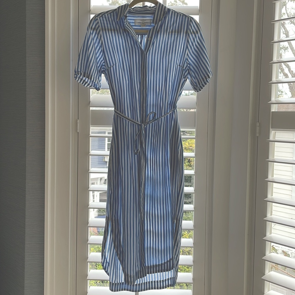 Trovata blue stripe dress